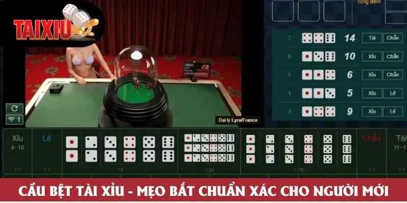 Cầu Bệt Tài Xỉu - Bí Quyết Bắt Chuẩn Xác Cho Người Mới