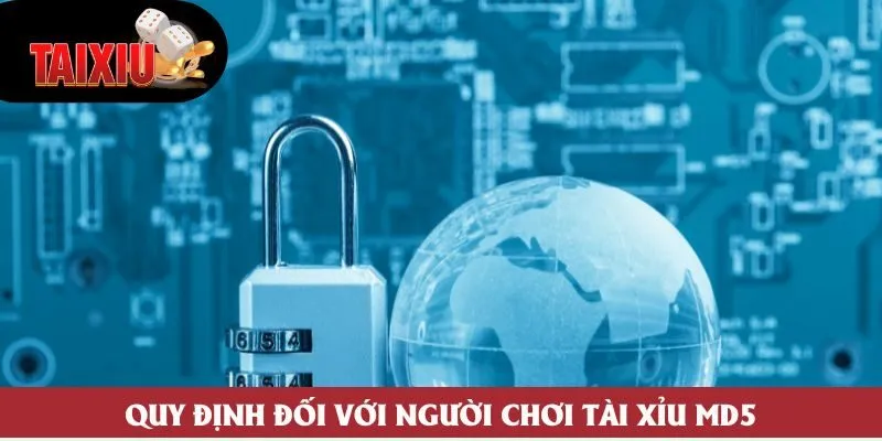 Quy định đối với người chơi Tài Xỉu md5 Quy định đối với người chơi Tài Xỉu md5