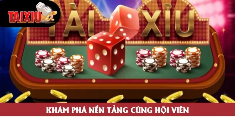 Khám phá nền tảng cùng hội viên