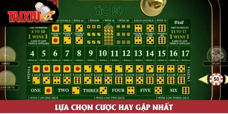 Lựa chọn cược hay gặp nhất Lựa chọn cược hay gặp nhất